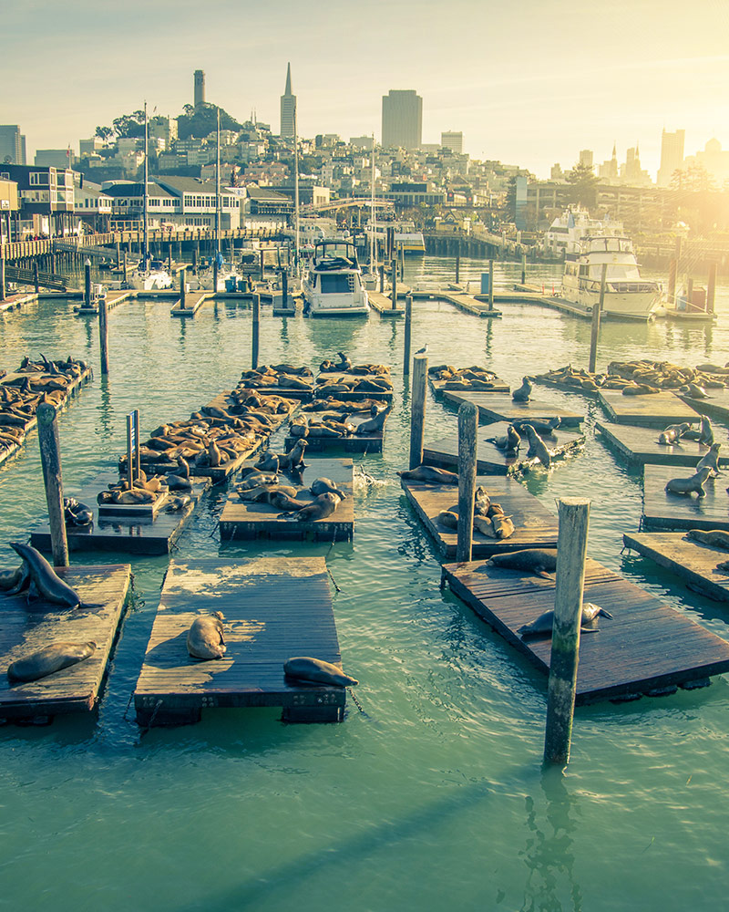 San Francisco Pier 39